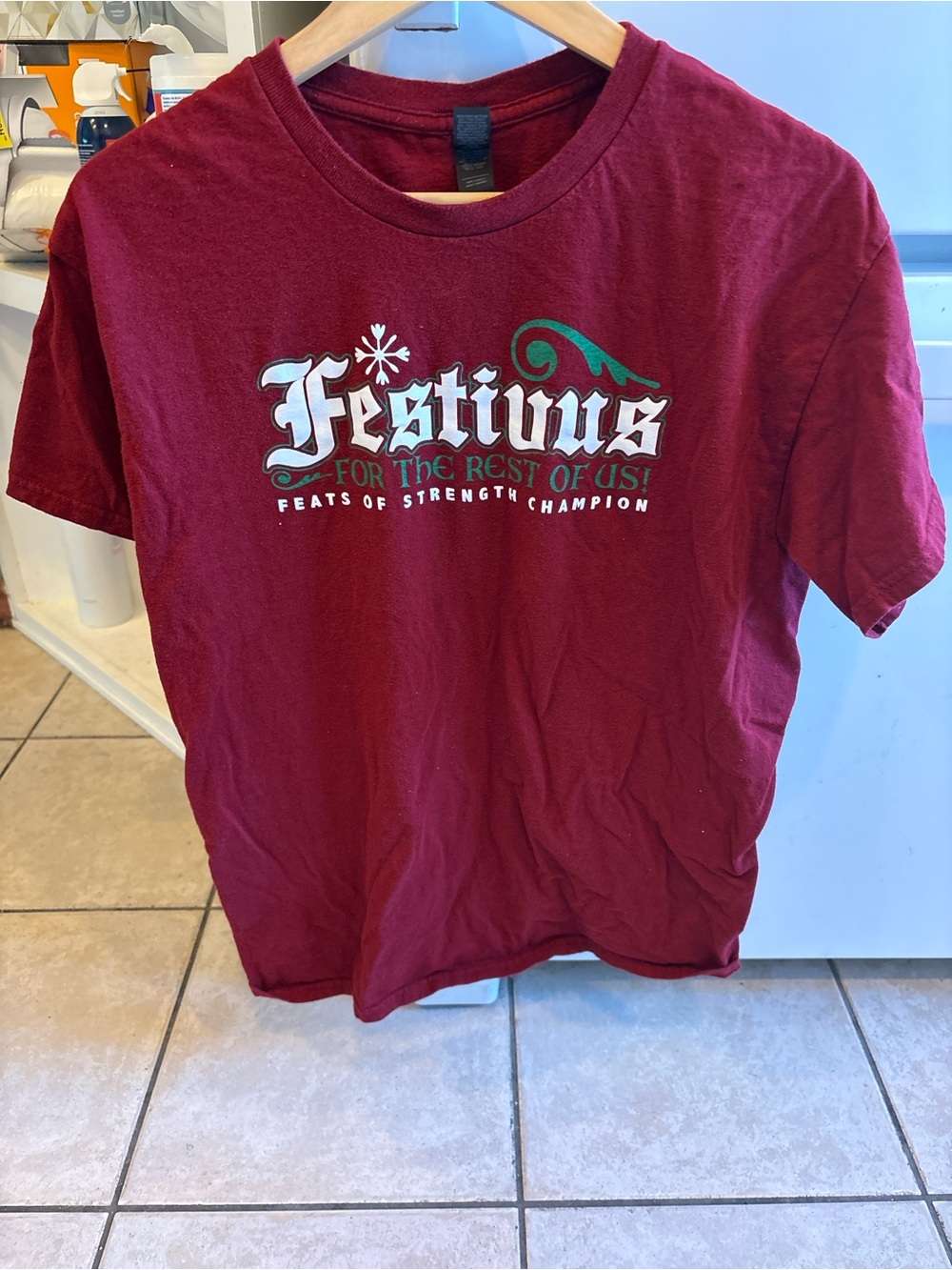 Gildan Maroon Festivus Graphic Tee men’s size large Seinfeld